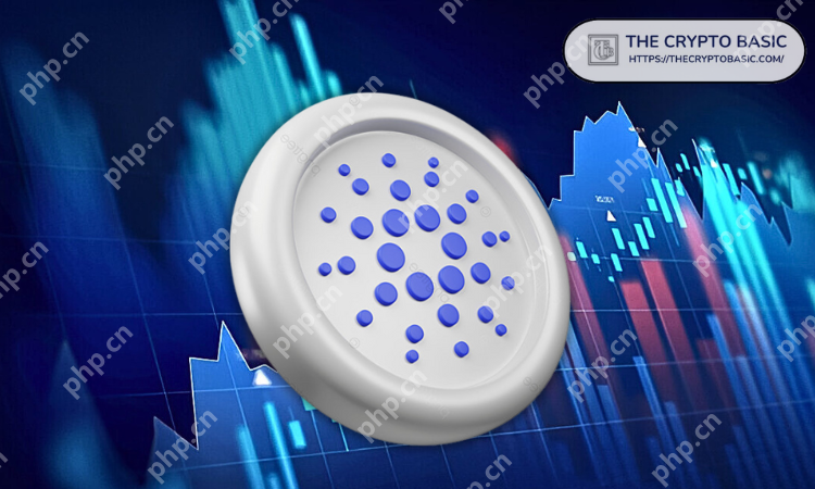 一种新的Cardano价格风险模型表明，ADA的牛市尚未开始
